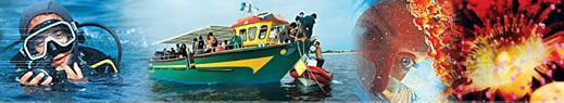 Novembre 2004 Sortie plonge Larmor plage au Centre Nautique Kerguelen