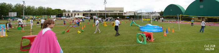 Les jeux olympiques gaulois 2008