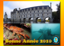 Bonne anne 2009 !!!